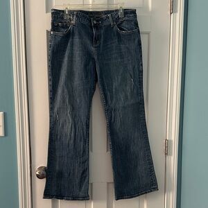 Vintage American Eagle Favorite Fit size 14 Short Amazing!!